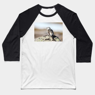 Snow bunting Baseball T-Shirt